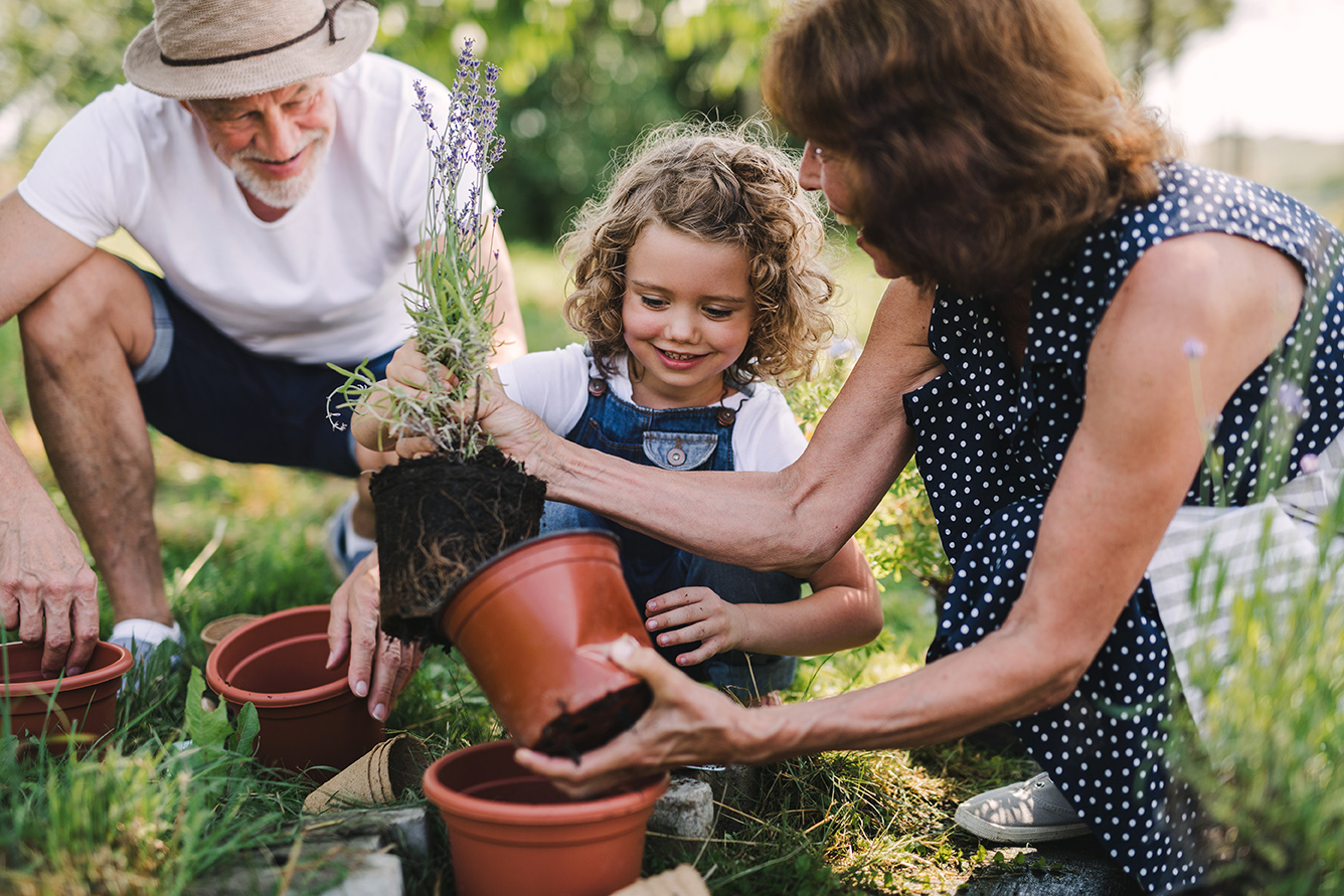 Financial Estate Legacy Planning | Peristyle Private Wealth
